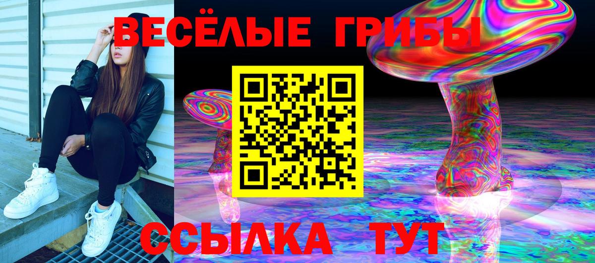 Псилоцибиновые грибы Psilocybine cubensis Апатиты