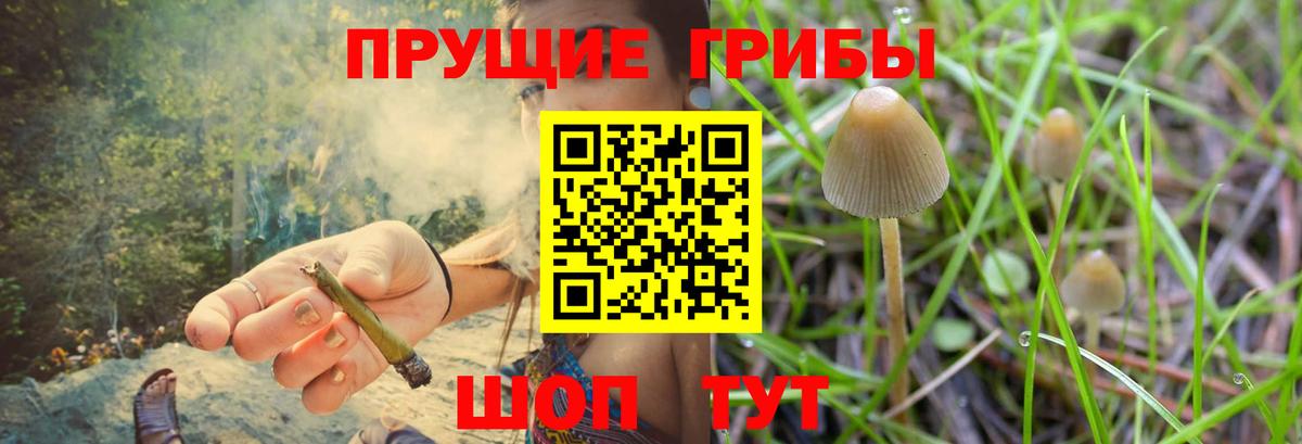 как найти закладки  Вход с VPN  Апатиты  Псилоцибиновые грибы мухоморы  Галлюциногенные грибы прущие грибы 